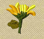 Free Machine Embroidery Design 'Chrysanthemum'